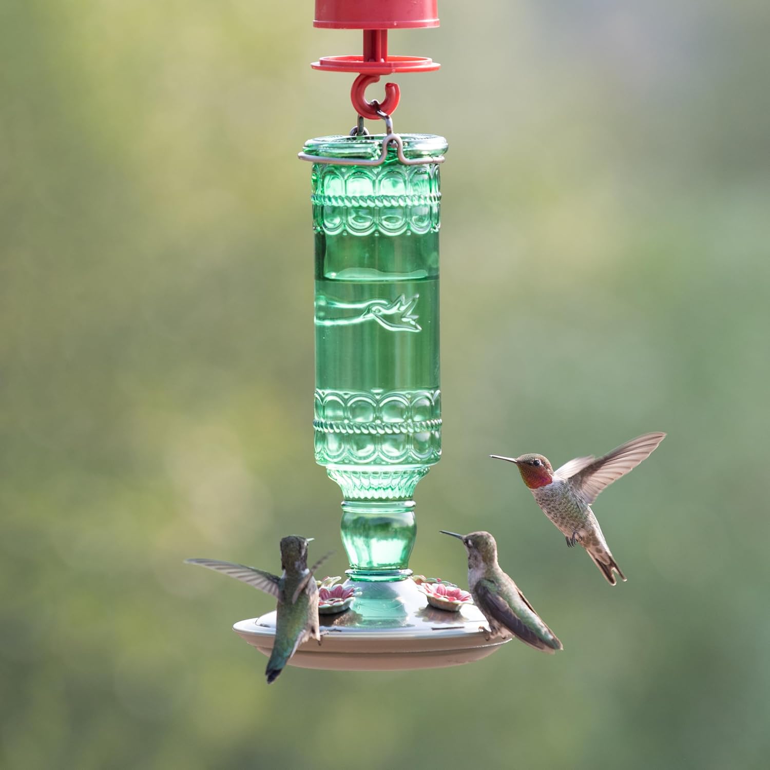 Perky-Pet Antique Glass Bottle Hummingbird Feeder, 10 oz Capacity, Green | 4 Feeding Ports for Outdoors Hanging Bird Feeders, Backyard Garden Décor