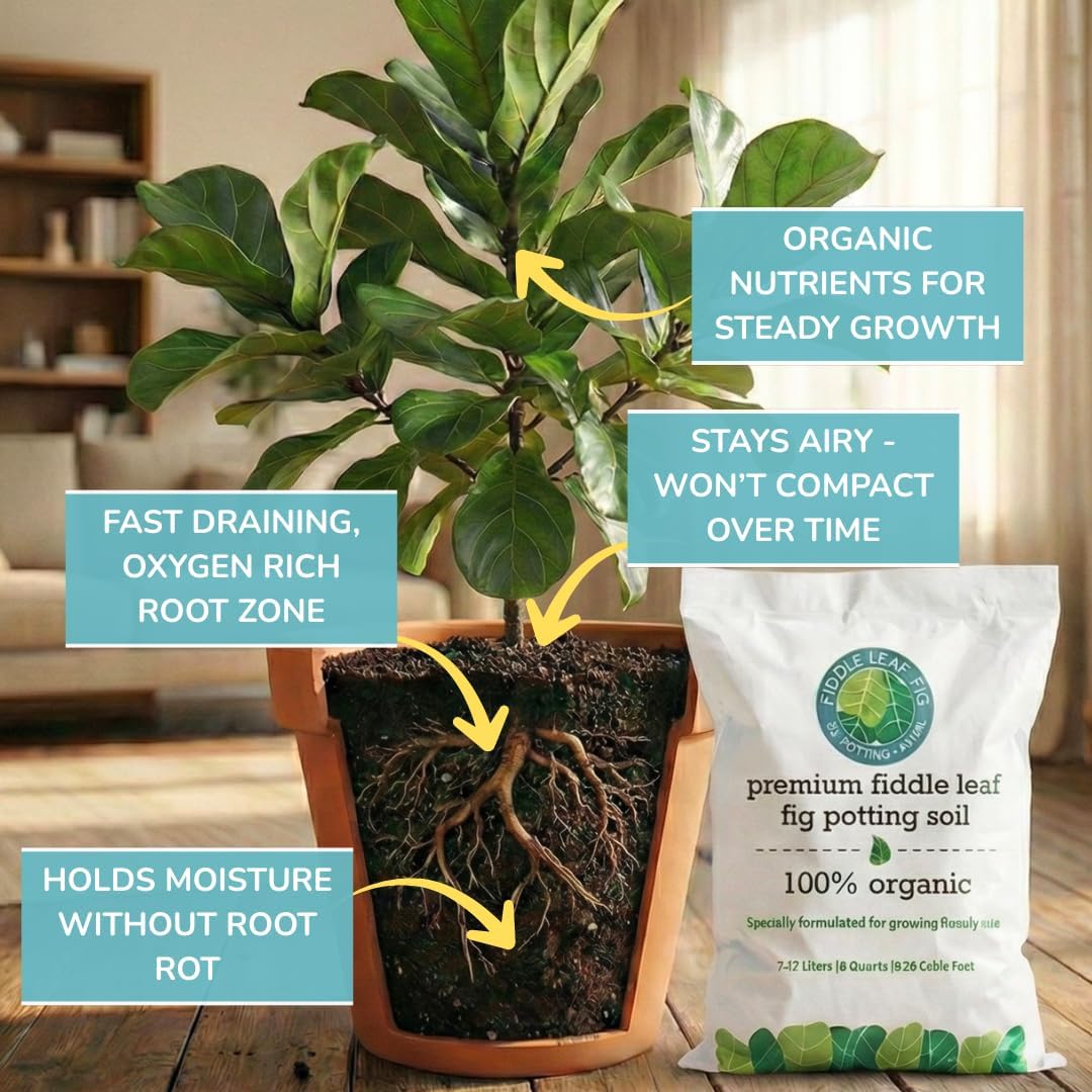 Organic Fiddle Leaf Fig Soil, Well-Draining Potting Mix, Large 7.5L Bag