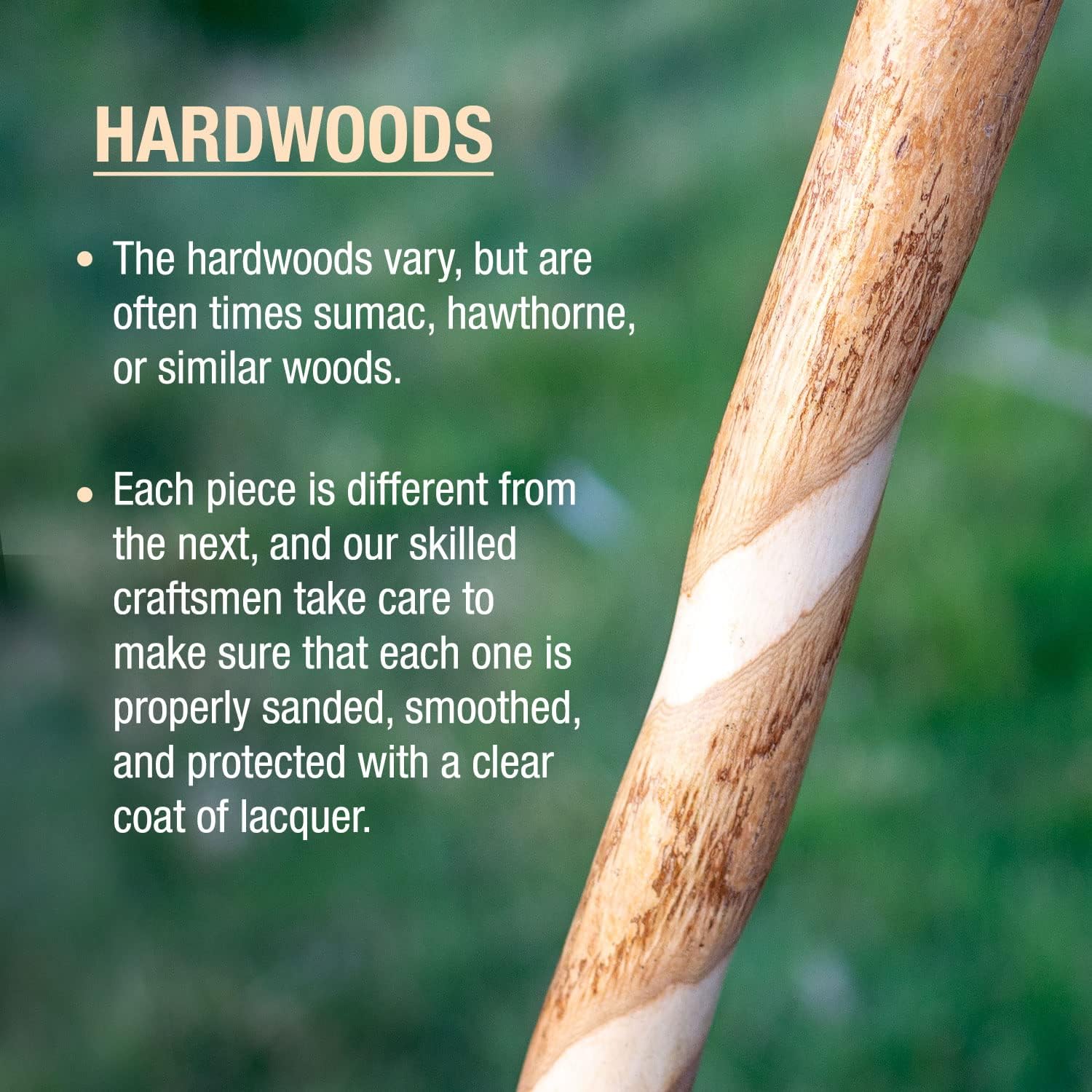 Brazos Rustic Wood Walking Stick, Maple, Traditional Style Handle, for Men & Women, Made in The USA, 55"