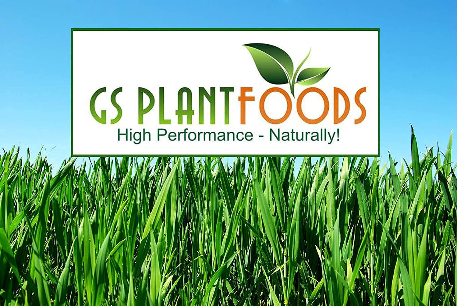 GS Plant Foods Root Ruckus Compost Fertilizer Organic Plant Food - Turbo Charged Compost for Plants - Humic Acid & Sea Kelp Nutritional Root Supplement for Lawns, Soil, Shrubs & Vegetables - 1 Gallon