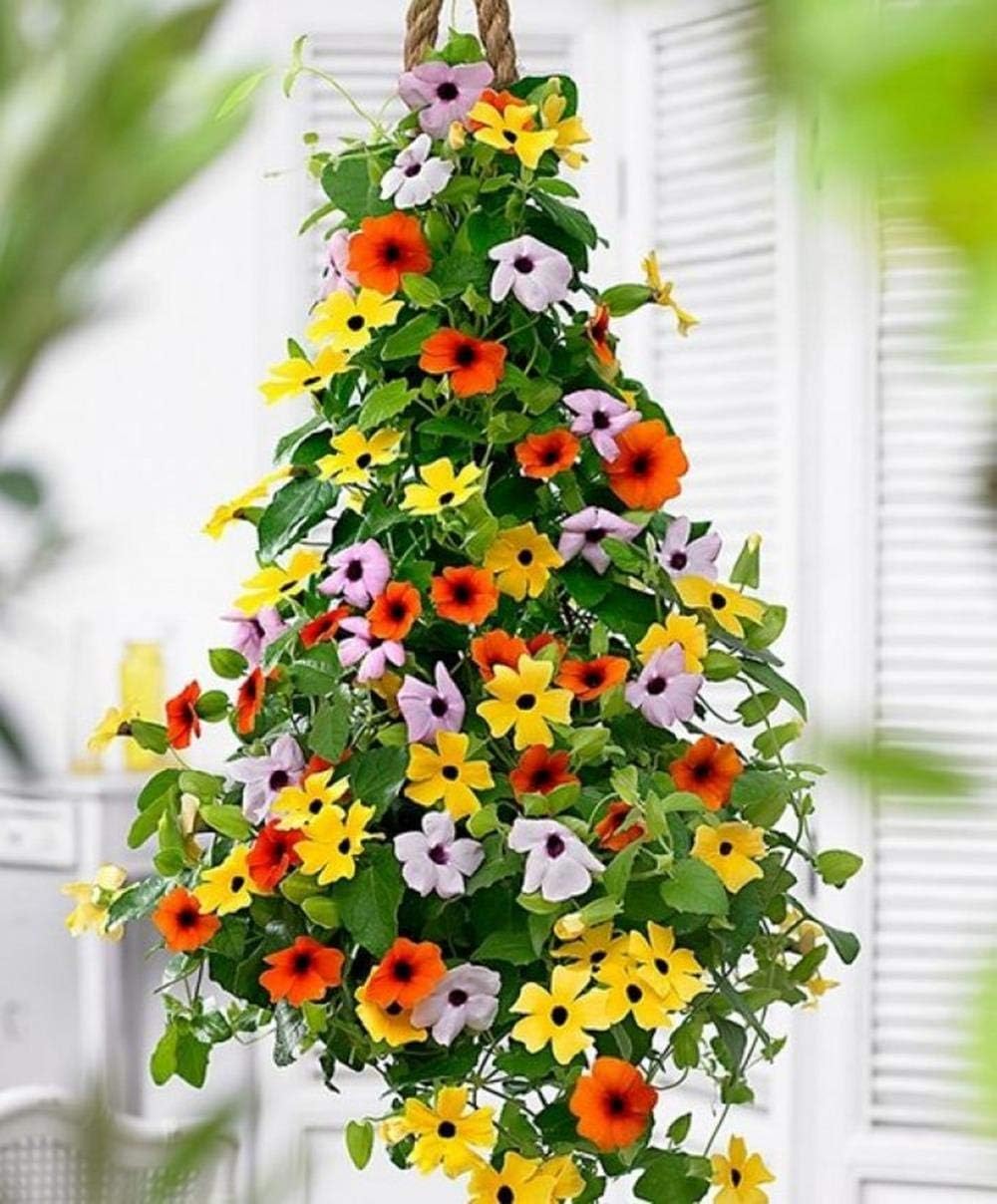 25 Heirloom Flower Seed Packets for Planting: 20+ Varieties Flower Seeds - Forget Me Not, Sunflower, Marigold, Zinnia Lilliput, Snapdragon