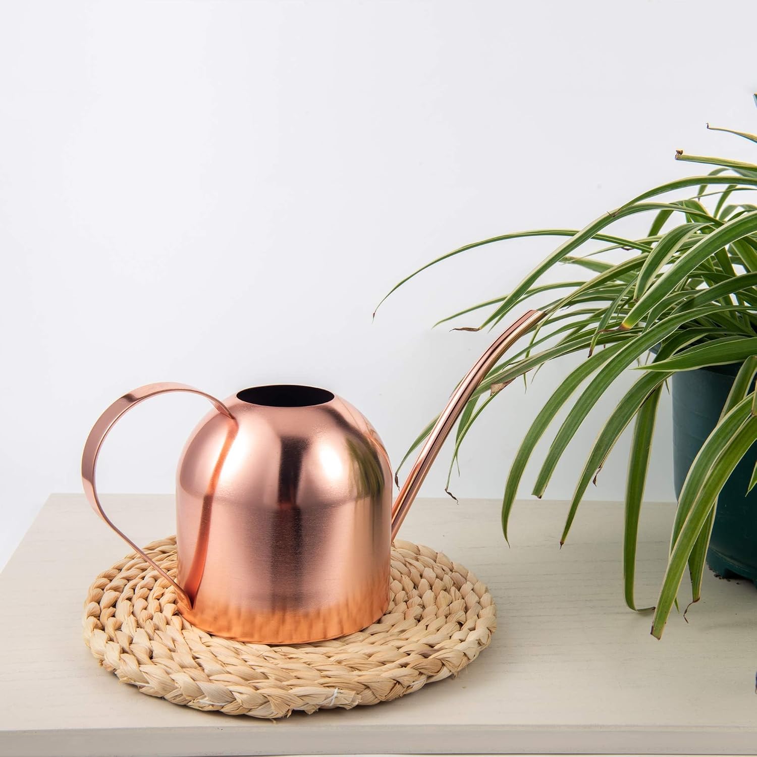 IMEEA Indoor Watering Can for House Plants 33oz/1L Brushed Stainless Steel Watering Can with Long Spout for Succulents, Bonsai