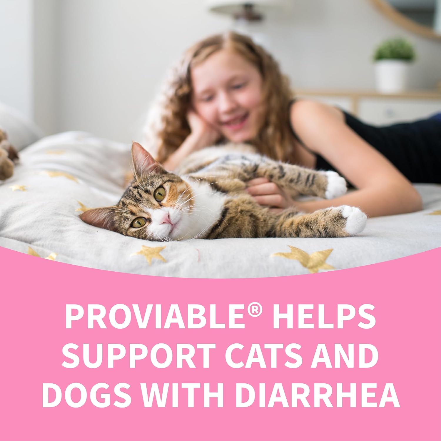 Nutramax Proviable Probiotics + Prebiotics, for Dogs & Cats, Capsules, 80ct | Probiotics and Prebiotics for Cats and Dogs, Daily Gut Health Support Supplement, Multiple Strains, Sprinkle on Food