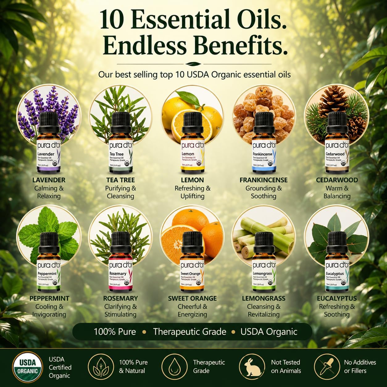 PURA D'OR Organic Perfect10 Essential Oils Aromatherapy Box Set, 10mL x10