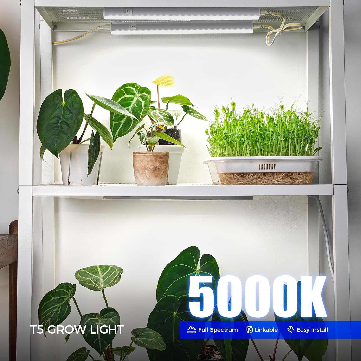 Barrina T5 Grow Lights for Indoor Plants, Full Spectrum, 2FT, 8 Packs