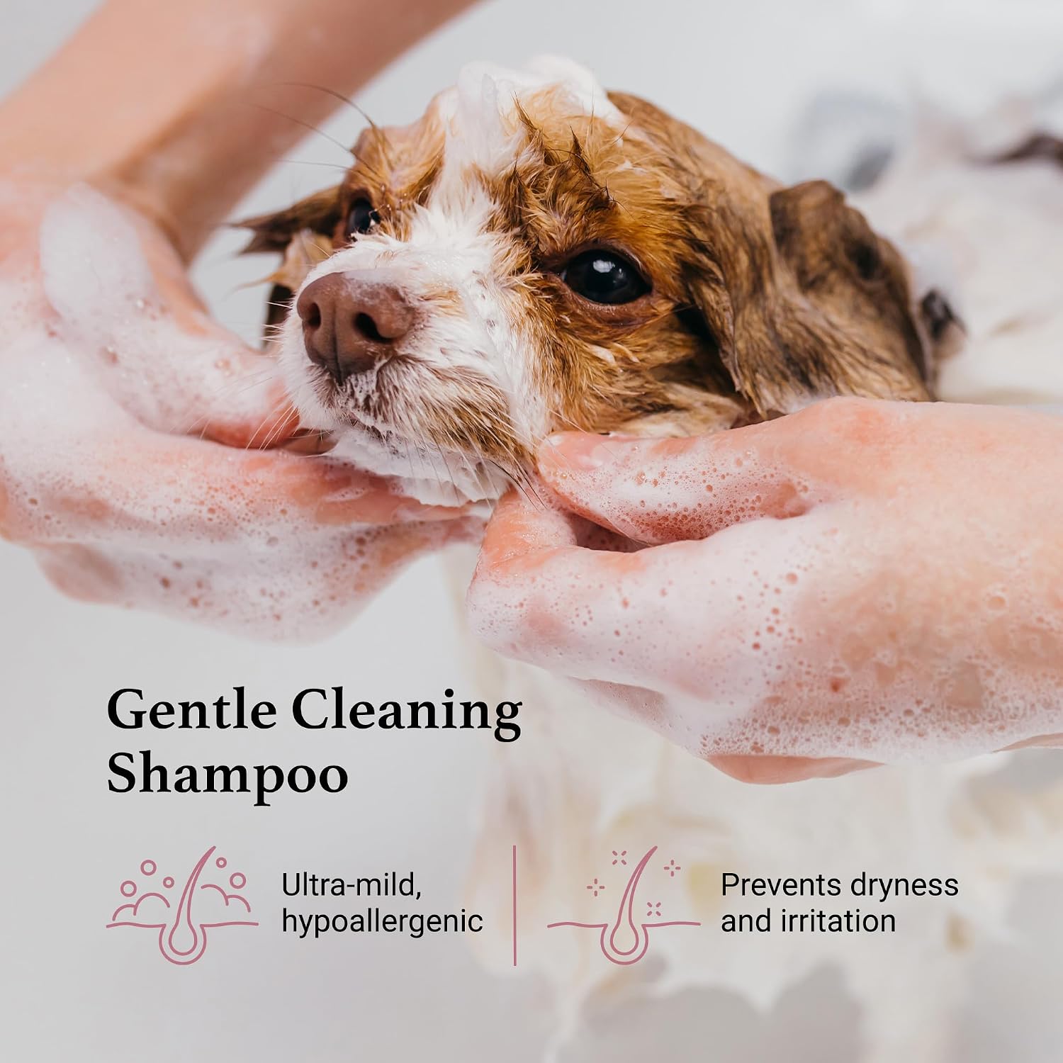 iGroom Tearless Facial Dog Shampoo, Luxury Pet Beauty Care, Ultra Mild to Eyes, Restore Skins Natural Moisture, Made in USA, Gallon