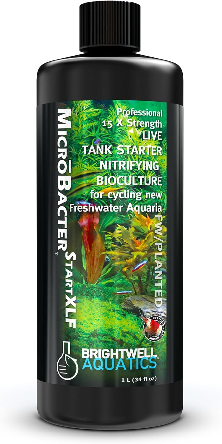 Brightwell Aquatics MicroBacter Start XLF Freshwater Tank Starter, 125 ml