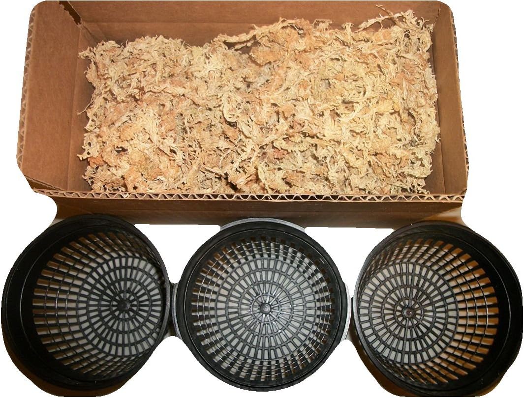 Three 5 Inch Net Pots with New Zealand Sphagnum Moss
