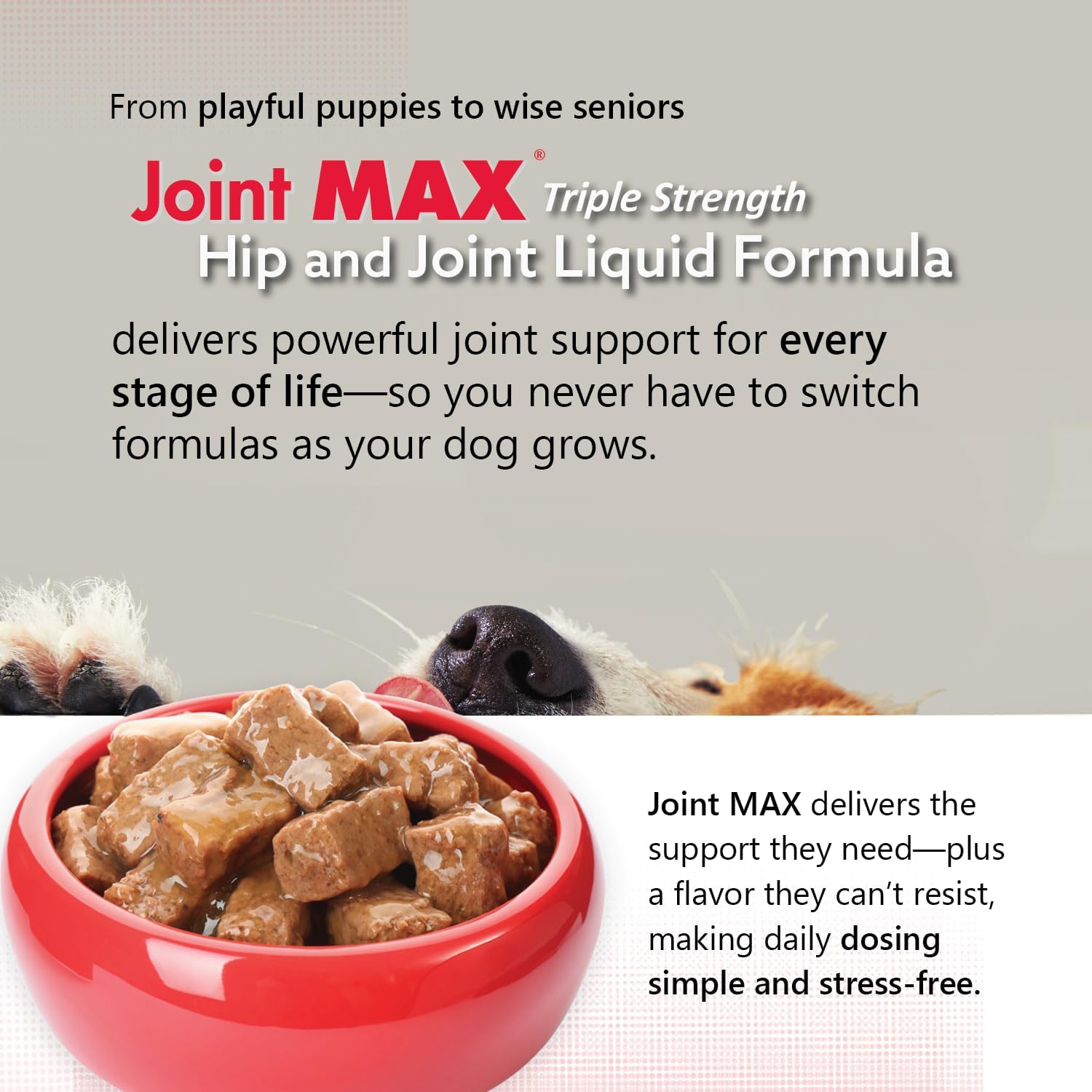 TS Joint Supplement Vet Formulated Pain & Inflammation Relief Treats Hip Dysplasia & Arthritis.Glucosamine, Chondroitin, Turmeric, MSM, HA, Creatine, Omega 3 EPA+DHA. All Dogs 240 Soft Chews