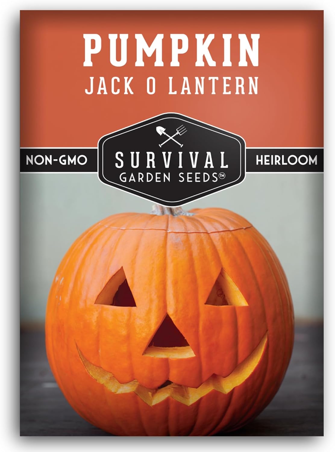 Jack O' Lantern Pumpkin Seeds for Planting - 1 Pack