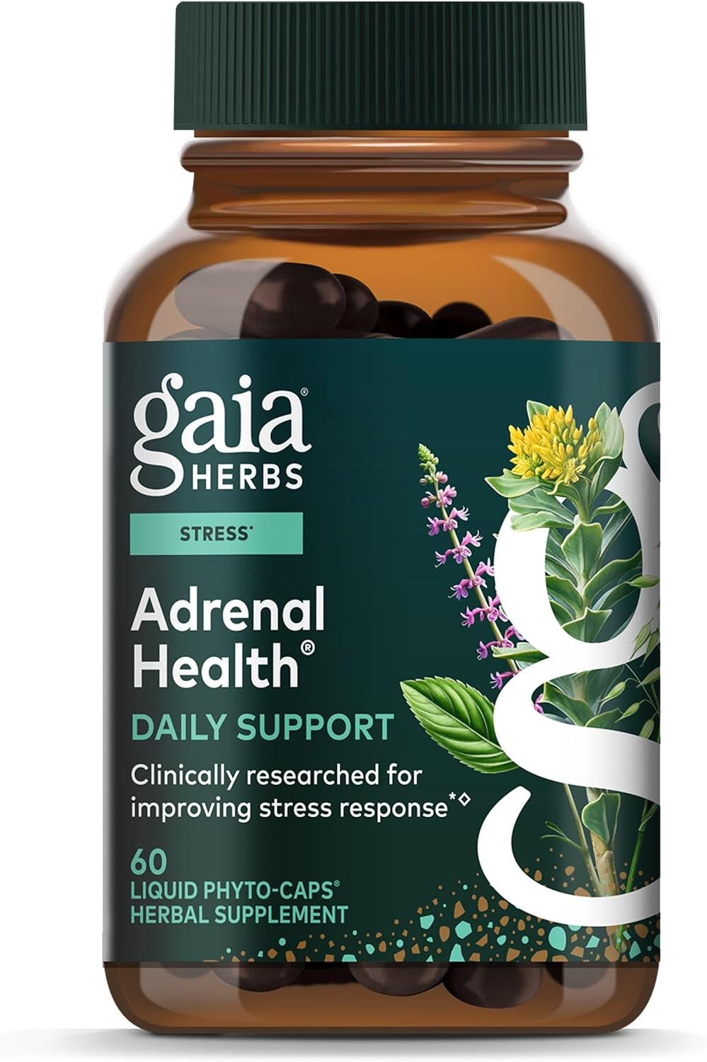 Gaia Herbs Adrenal Health Daily Support - Herbal Supplement with Ashwagandha, Holy Basil & Schisandra - Help Maintain Healthy Energy & Stress Levels* - 60 Vegan Liquid Phyto-Caps (30 Servings)