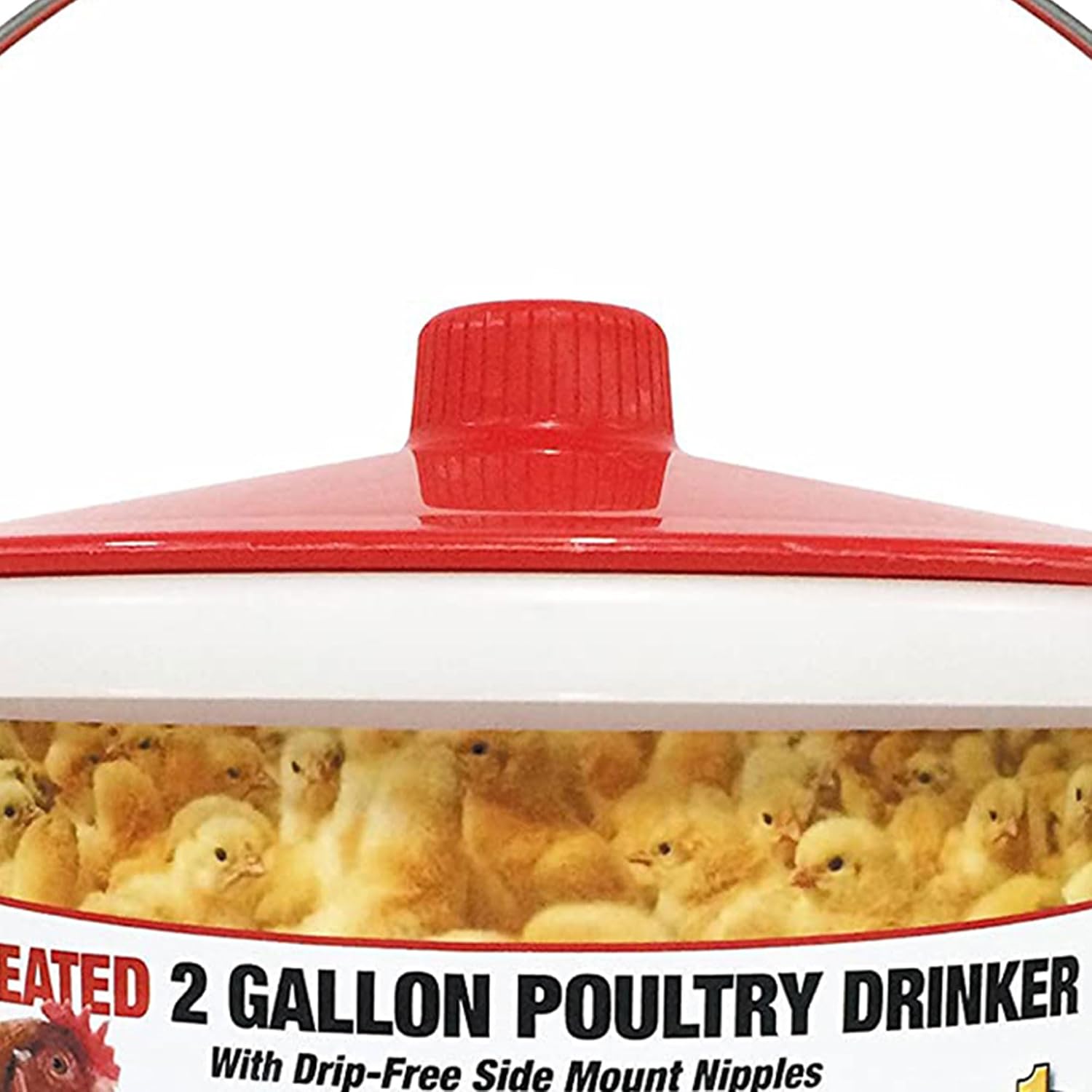 Farm Innovators HB-60P Thermostatically Controlled Heated 2 Gallon Plastic Outdoor Year Round Poultry Chicken Water Bucket Drinker, White/Red | Thermostatically controlled to keep water from freezing, side mounted drip-free/freeze-free nipples for up to…