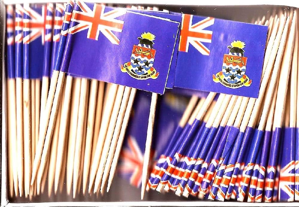 One Box of 100 Nicaragua Toothpick Flags, 100 Small Mini International Flag Cupcake Toothpicks or Cocktail Picks