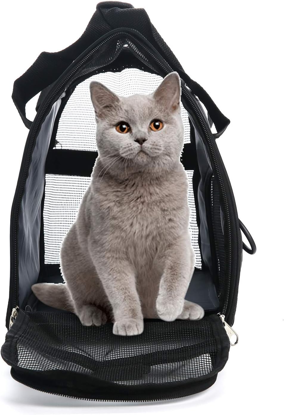 MuchL Cat Carrier for Cats Soft-Sided Travel Pat Carrier for Cat with Wooden Padding Board Airline Approved Lightweight Comfortable Cat Bag for