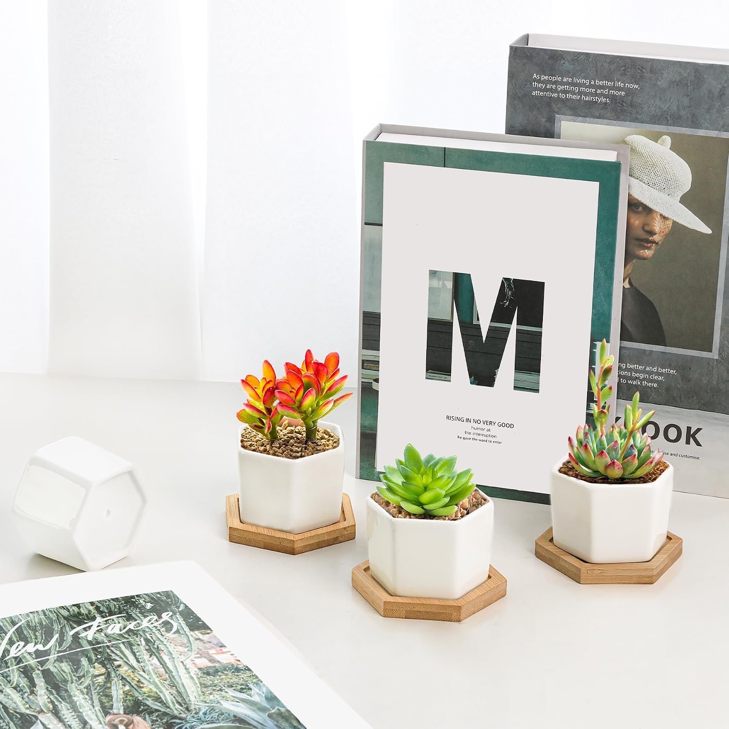 T4U Small White Succulent Planter Pots with Bamboo Tray Hexagon Set of 2, Geometric Ceramic Cactus Plant Holder, Succulent Plant Gifts for Gardener Women Coworker, Home Office Table Desk Decoration | Live cactus bonsai starter, Indoor windowsill decor, O…