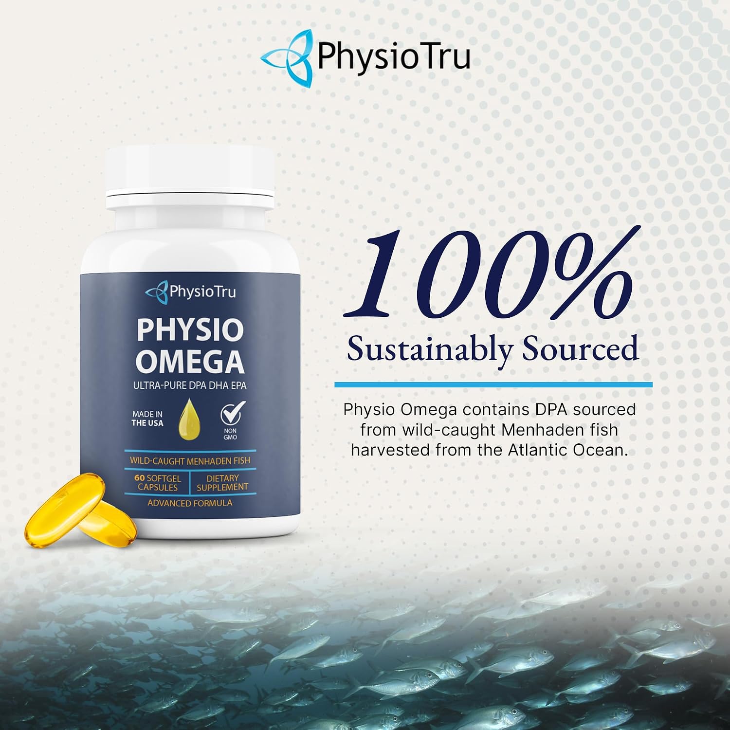 Physio Omega 2400mg Fish Oil with Omega 3 Fatty Acid Supplement - Vascular & Cognitive Supplements for Adults - Non-GMO, Burpless, Light Citrus Flavor, Sustainably Sourced - 1 Pack, 60 Softgels