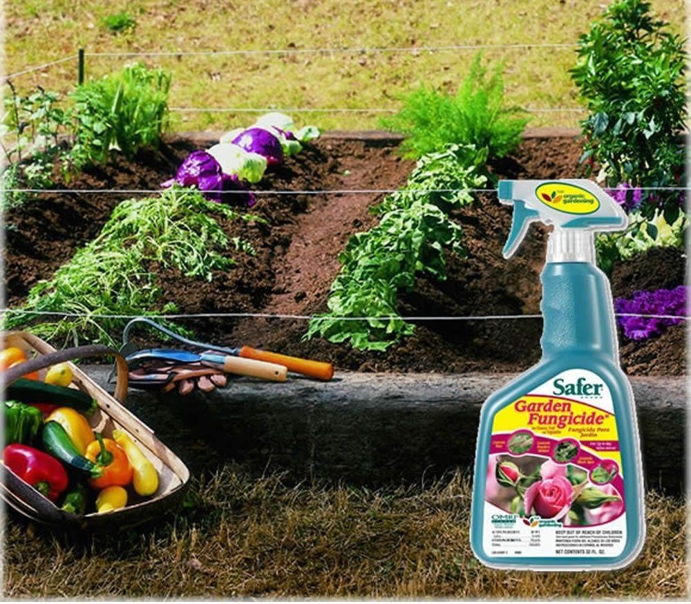 Garden Fungicide