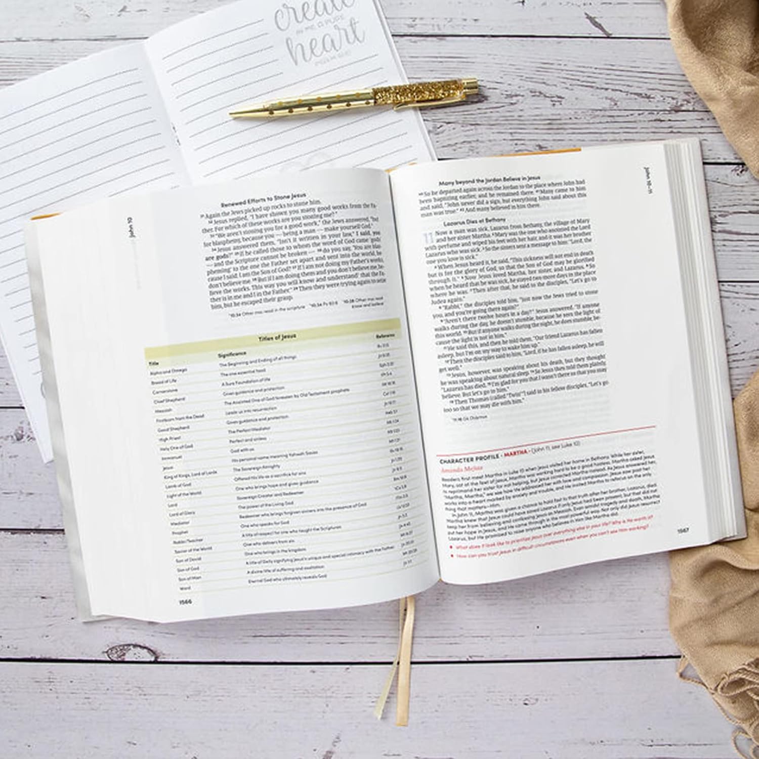 CSB Lifeway Women's Bible, Camel Cloth Over Board, Black Letter, Single-Column, Wide-Margins, Devotions, Articles, Word Studies, Character Profiles