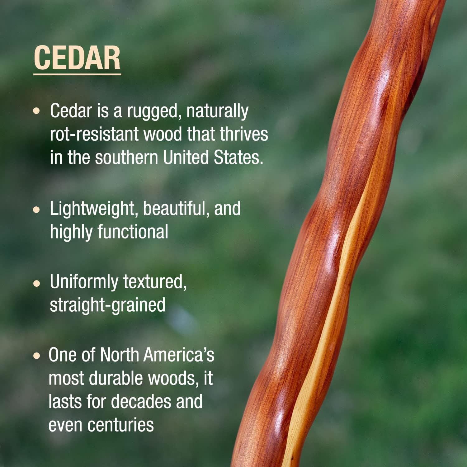 Brazos Handcrafted Wood Walking Cane, Twisted Cocobolo, Derby Style Handle, for Men & Women, Made in the USA, 37"
