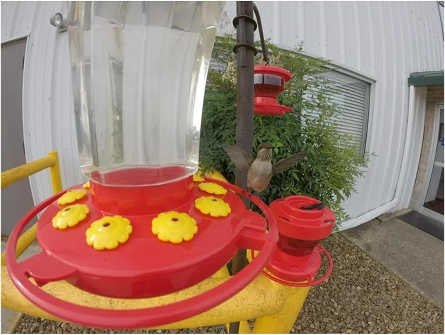 First Nature 993091-546 16 oz. Hummingbird Flower Feeder , Red | Bright Flower Ports Attract Birds - Round Bottom Perch Fits Multiple Birds - See-Through Tank Shows Nectar Levels