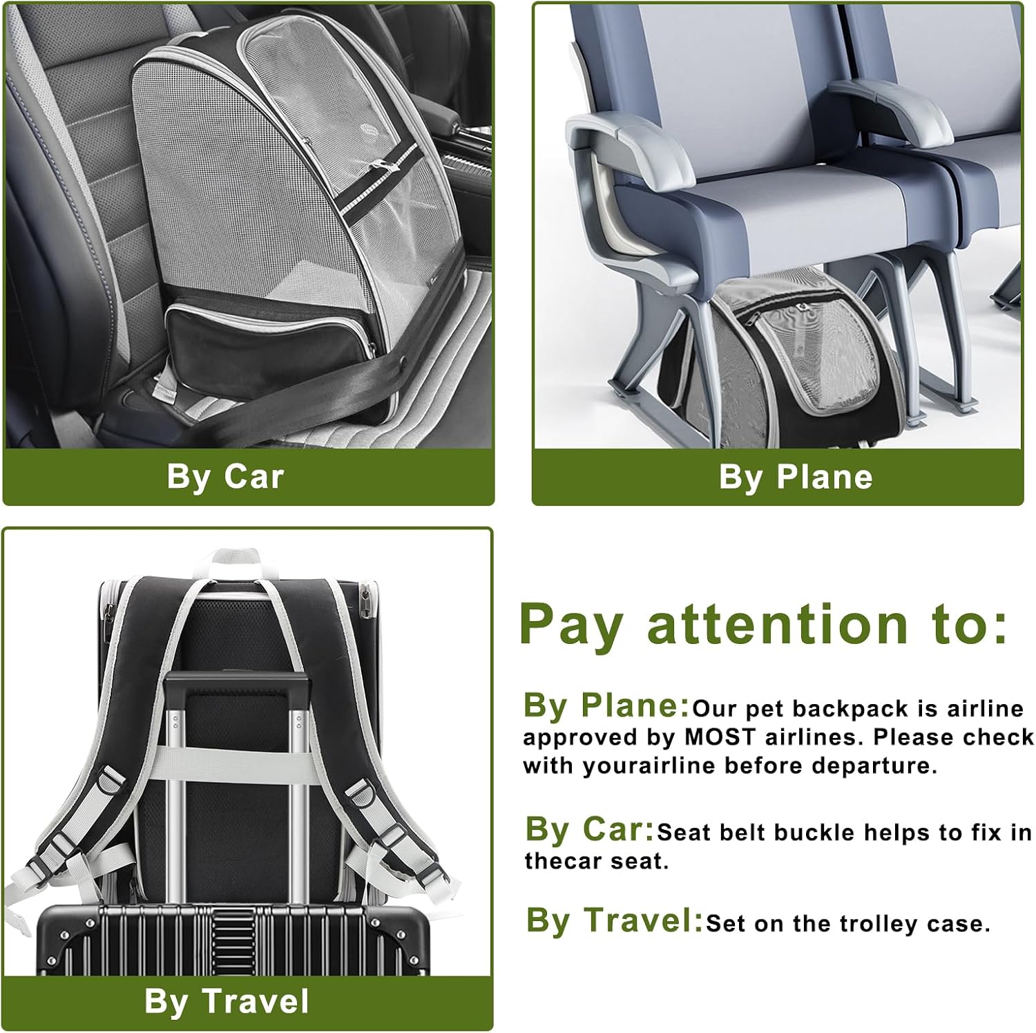 Texsens Innovative Traveler Bubble Backpack Pet Carriers for Cats and Dogs
