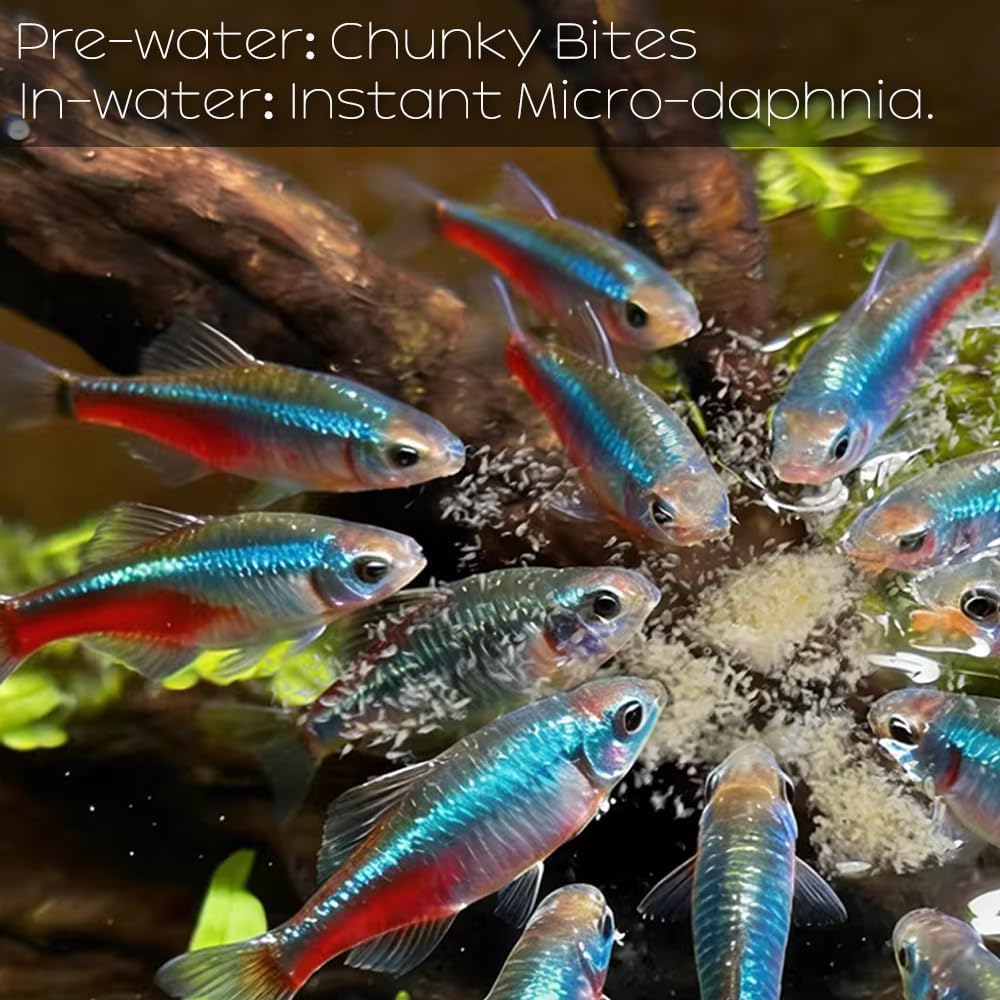 Brine Shrimp Cubes All Natural Tropical Fish Food for Small to Medium Sized Saltwater & Freshwater Fish - Betta Guppy Discus Cichlids Discus Goldfish Angel Fish