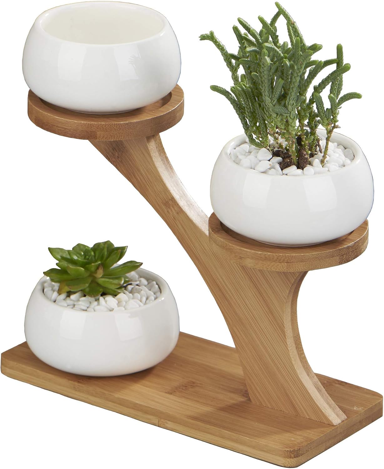 FLOWERPLUS Planter Pots Indoor