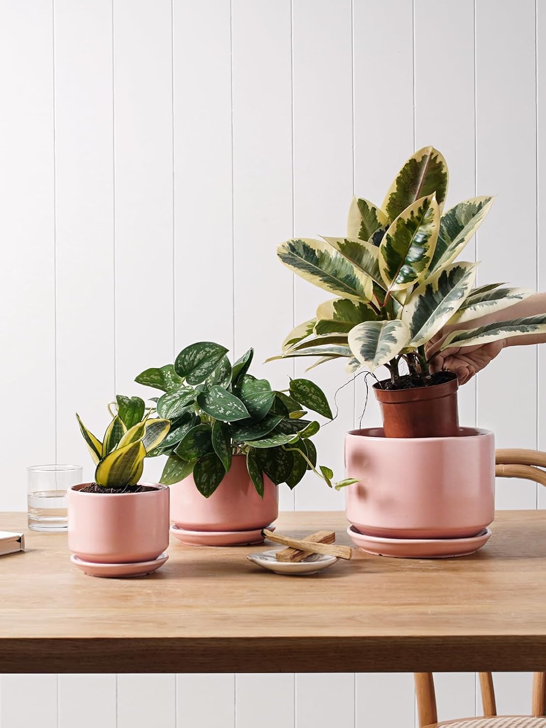 LE TAUCI Ceramic Plant Pots, 4.3+5.3+6.8 inch, Set of 3, Planters with Drainage Hole and Saucer, Indoor Flower Pot with Hole Mesh Pad, Gifts for Mom