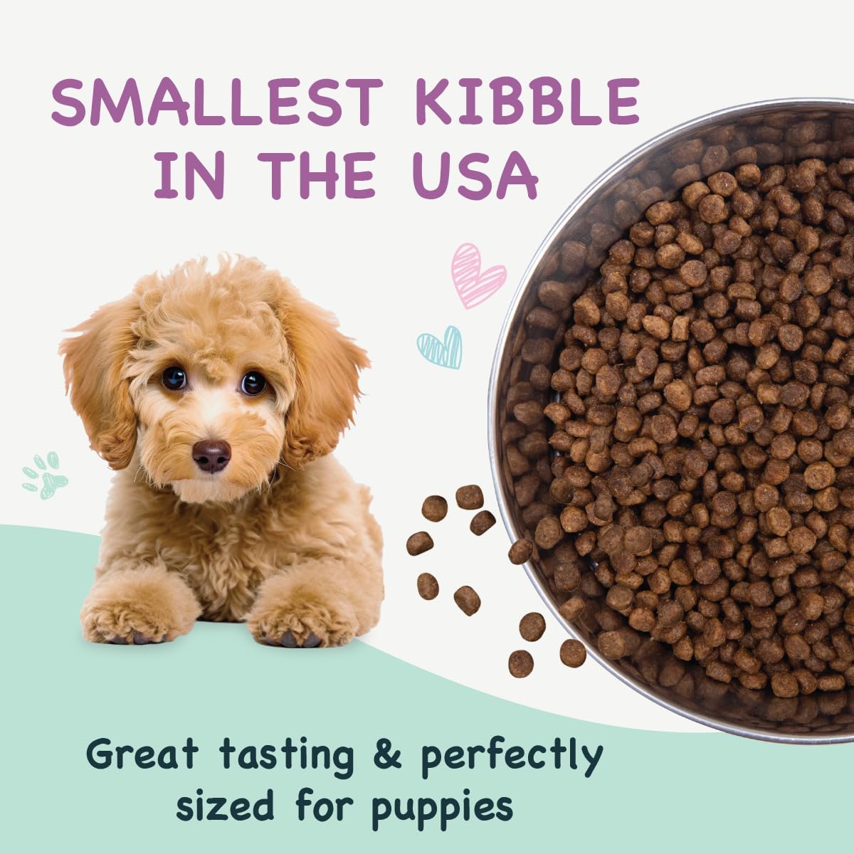 Health Extension Little Bites LITE Dry Dog Food, Chicken & Brown Rice for Toy and Small Breeds, Supports Healthy Weight, with Probiotics & Superfoods for Digestion & Coat Health, 4 lb Bag