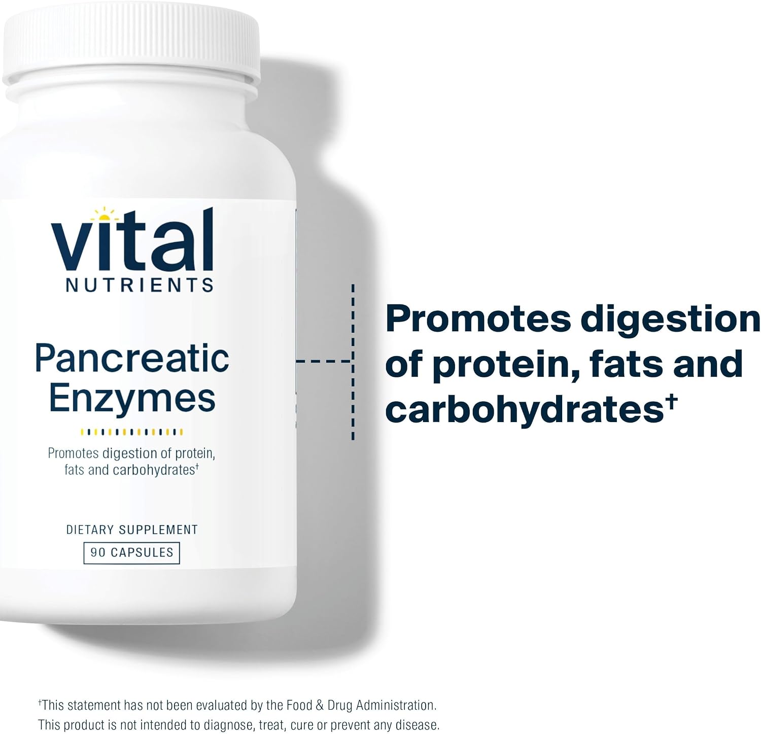 Vital Nutrients Pancreatic Enzymes 1000mg (Full Strength) - Pancreatin Digestion Supplement with Protease, Amylase & Lipase - Digestive Enzymes - Gluten, Dairy, and Soy Free - 90 Capsules