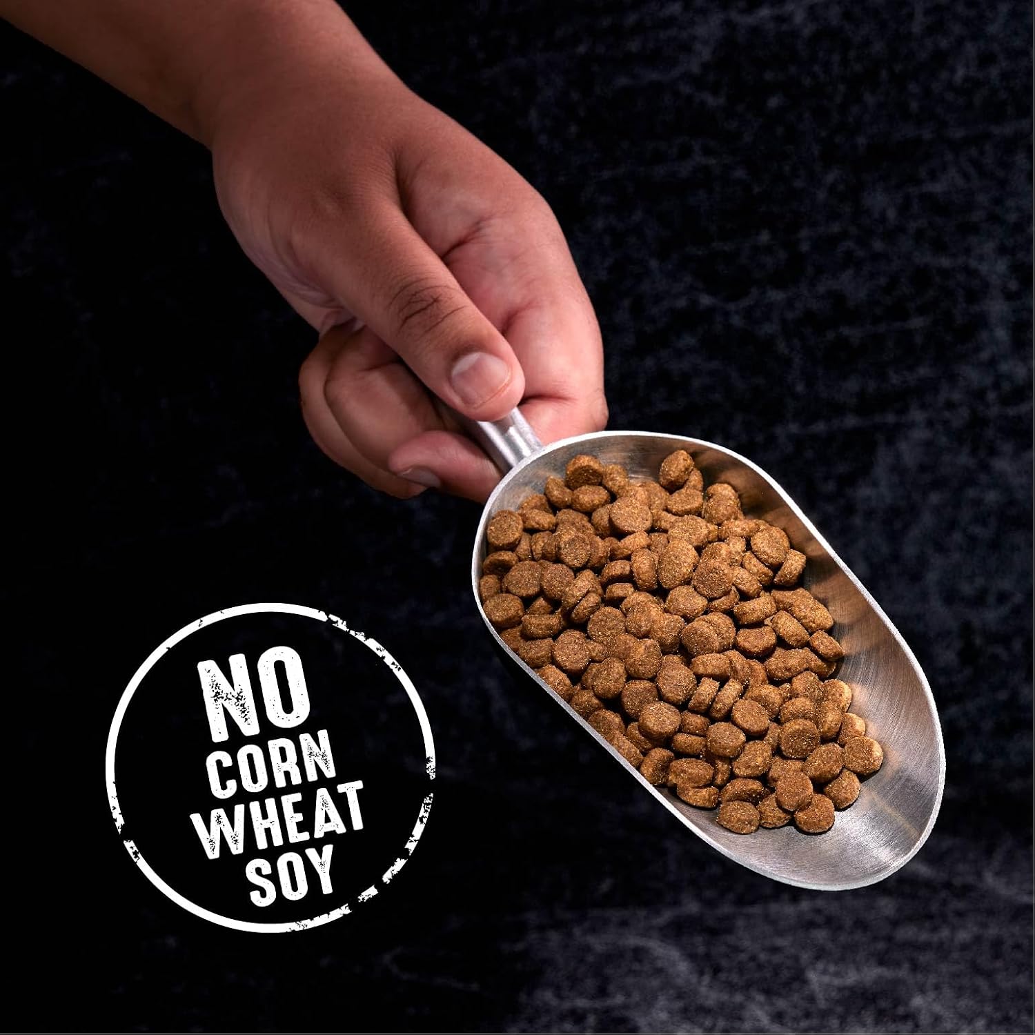CRAVE Grain Free High Protein Natural Adult Dry Dog Food, Lamb, 4 lb | 34% protein, real animal protein, no by-product meal, no corn, wheat, soy, no artificial flavors, energy support