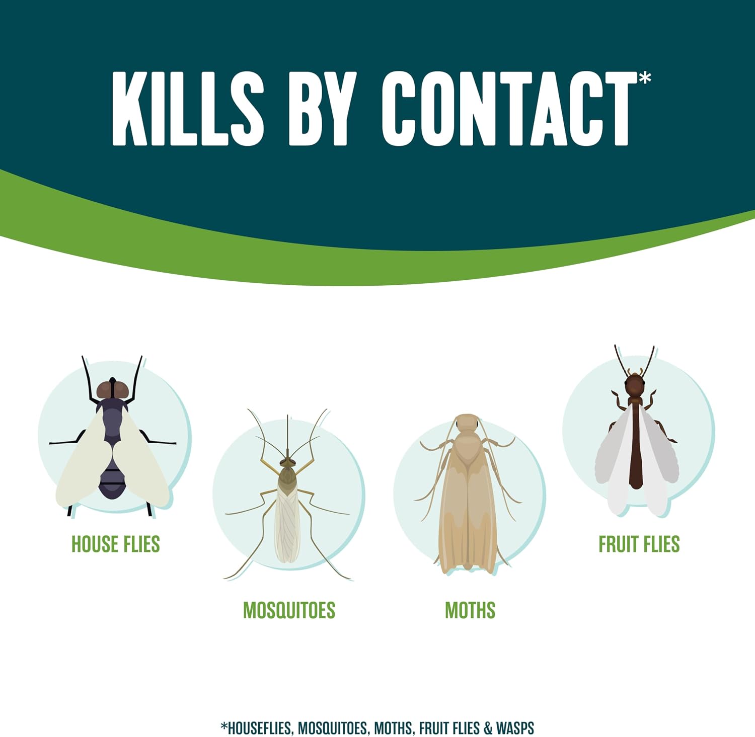 Ecologic Flying Insect Killer, 14 Ounces, Aerosol Formula Made With Cornmint Cinnamon And Clove Oil Kills Houseflies, Mosquitoes, Moths, Fruit Flies
