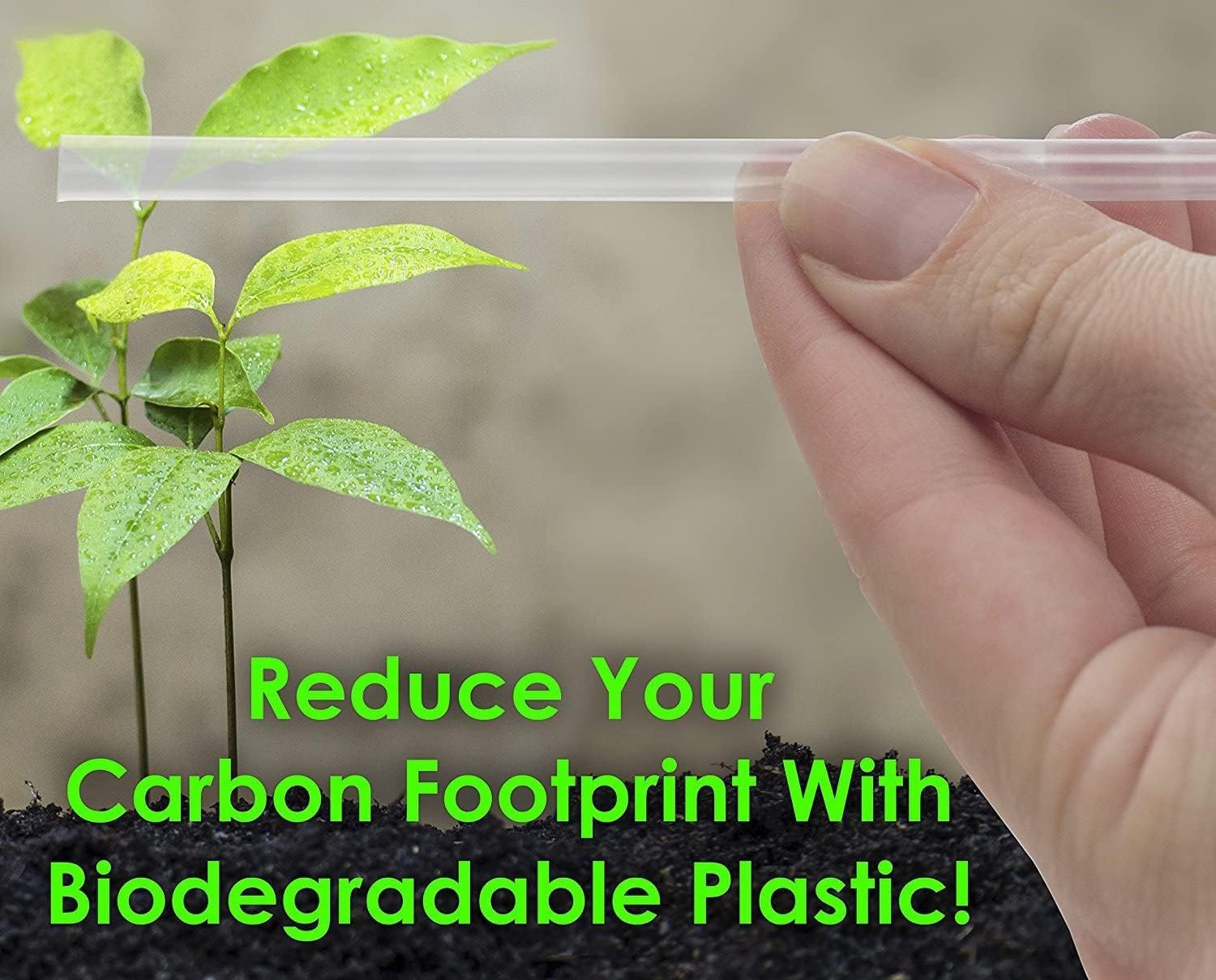 Clear Plastic Straws 200 Bulk Pack. Reduce Your Carbon Footprint With a Compostable, Plant-Based, Eco-Friendly Drinking Straw! Individually Wrapped