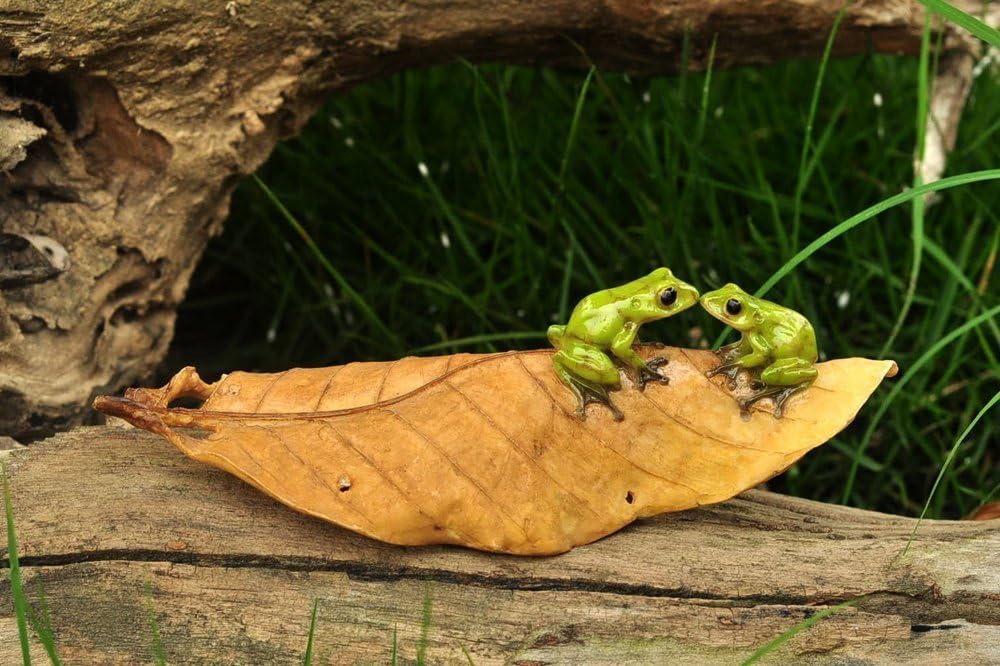Top Collection Enchanted Story Garden Kissing Frogs on Leaf Outdoor Decor