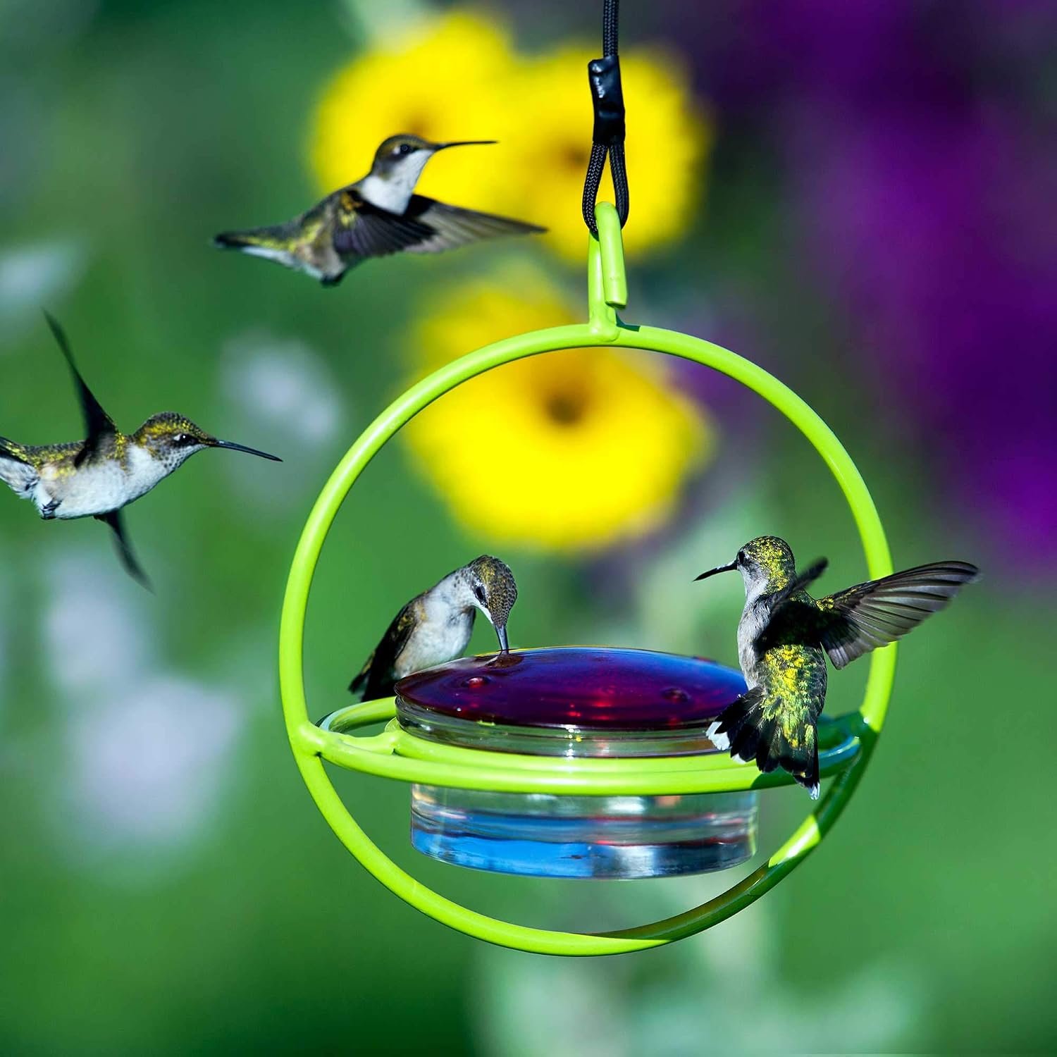Hummingbird Feeder for Outdoors Hanging, 3.4 OZ Hummingbird Feeders, Glass Bowl with 4 Feeding Ports, Leak Proof Lid & Circular Perch, Bird Feeder (1, Red)