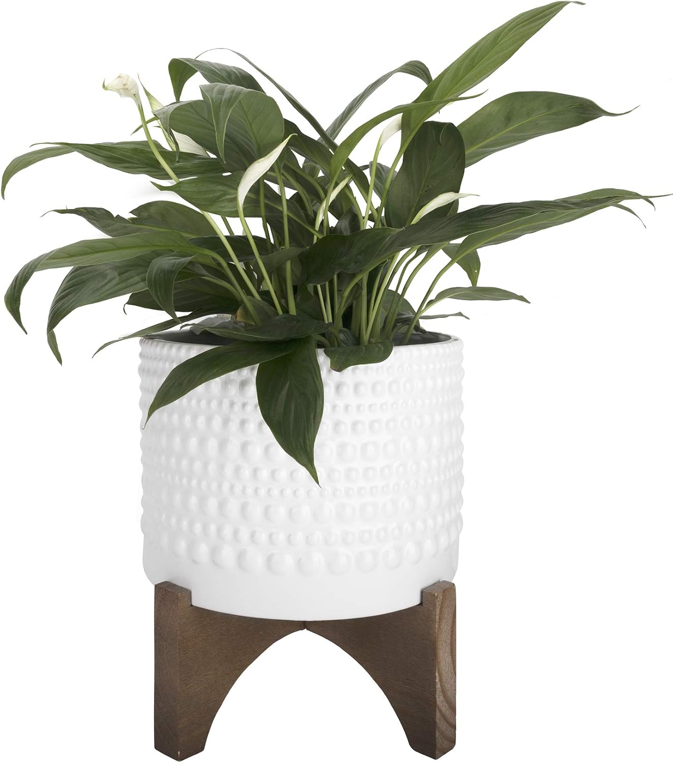 LA Jolie Muse Ceramic Pot for Plants, 8 Inch Indoor Planter with Stand