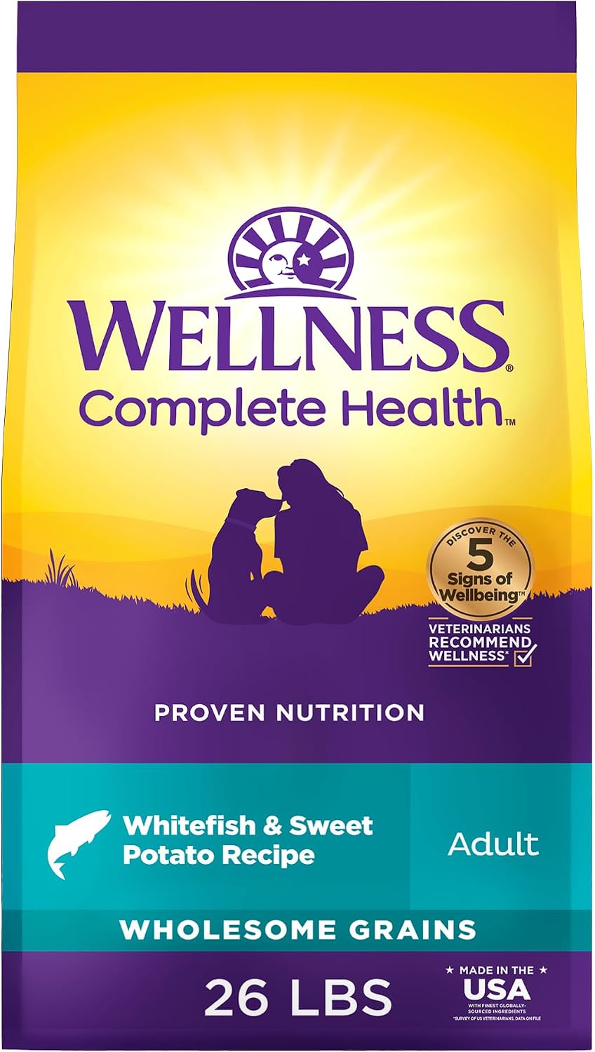 Wellness Complete Health Adult Dry Dog Food, Wholesome Grain Kibble, Natural, Chicken and Oatmeal Recipe, 5 lb Bag