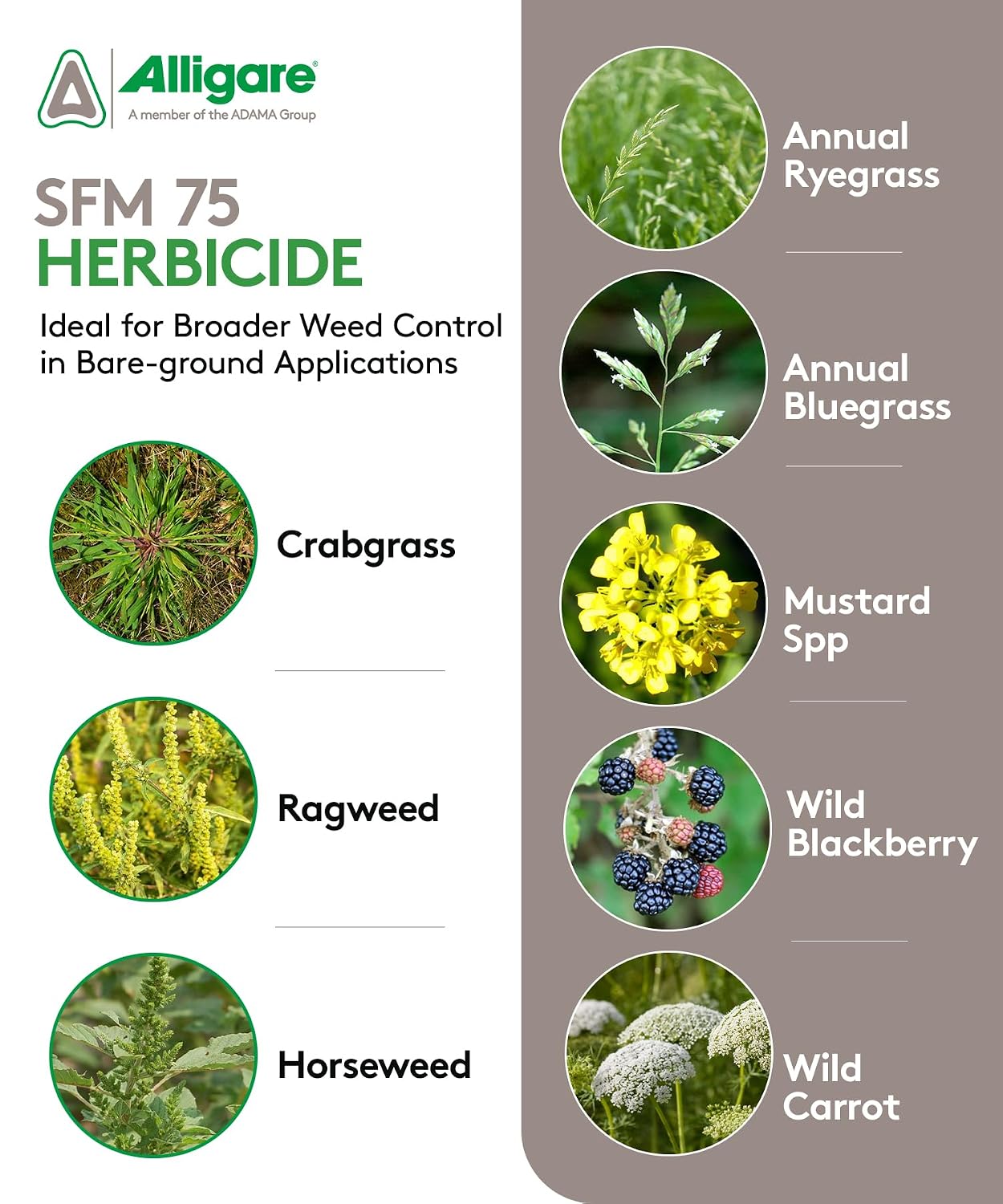 ALLIGARE SFM 75 Weed Killer - Broad-Spectrum Pre- and Post-Emergent Weed Killer for Forestry, Rights-of-Way, Industrial & Non-Crop Sites - Low Use Rates, Residual Performance - 3 lb
