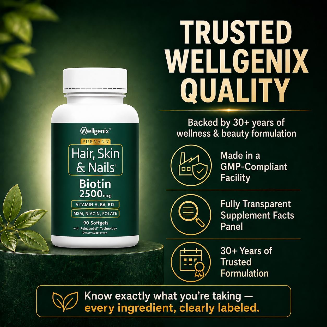 Wellgenix Purvana Hair Skin and Nails Supplement – 2500mcg Biotin Softgels with MSM & B-Complex – Daily Beauty Support for Stronger Nails & Hair Vitality – 90 Softgels | MSM, alpha lipoic acid & grape seed softgels for thicker-looking hair, stronger-look…