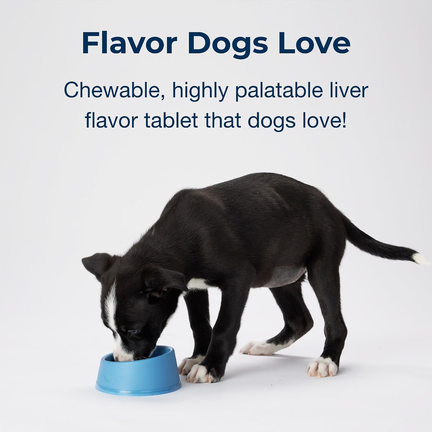 PetAg Sure Grow 100 - Promotes Optimal Bone Development in Puppies Eight Weeks and Older - with Calcium, Phosphorus