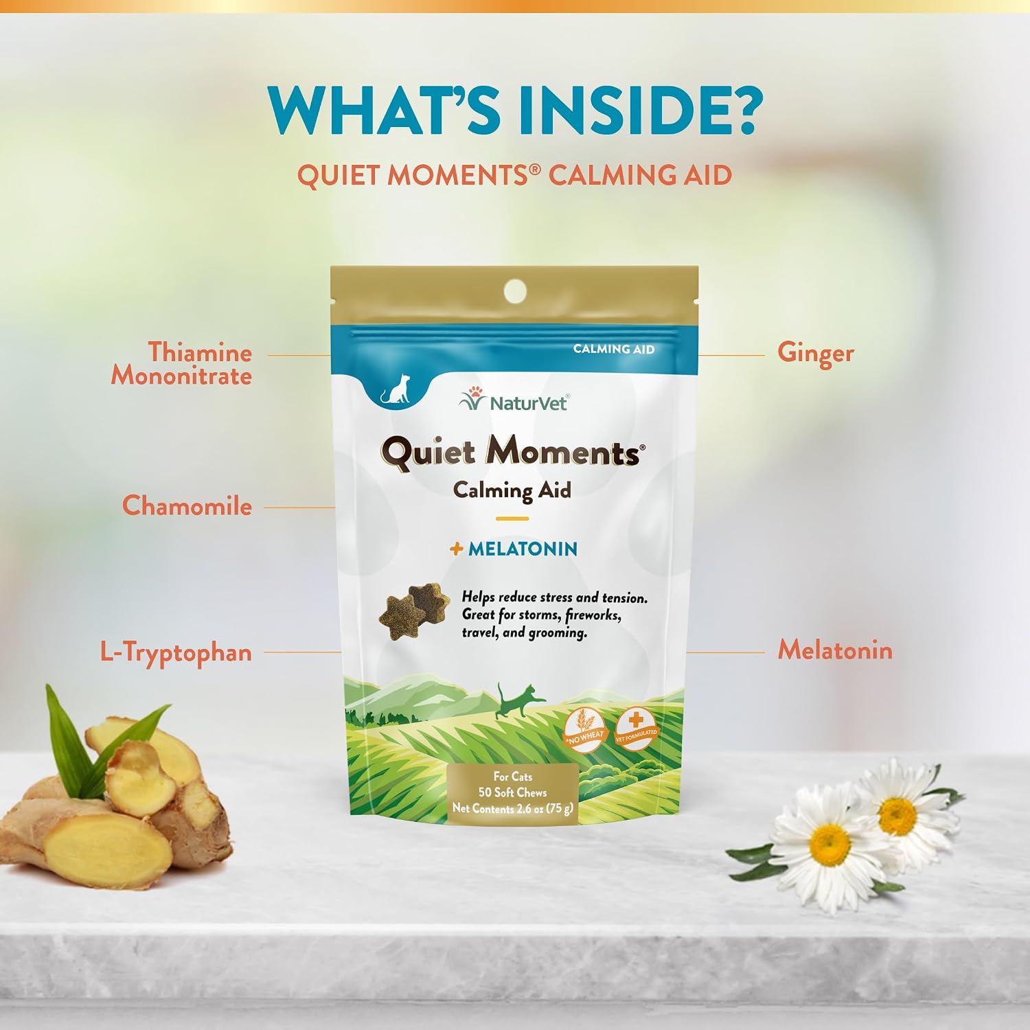 NaturVet Quiet Moments Calming Plus Melatonin Cat Supplement - 50 Count | Calming Aid for Cats - Reduce Stress, Pet Storm Anxiety, Motion Sickness - Great for Grooming, Separation and Travel