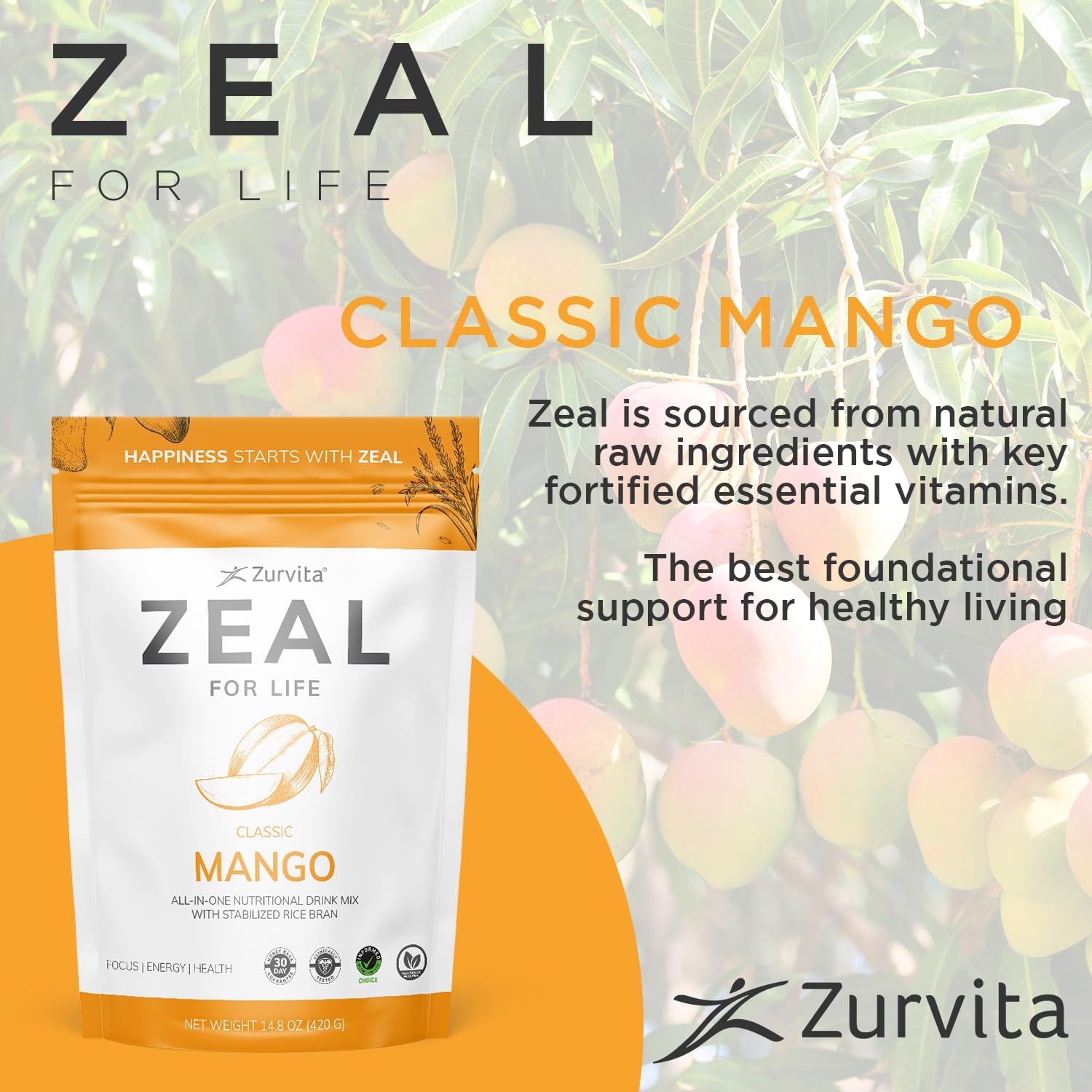 Zurvita - Zeal for Life Wild Berry Wellness Drink Mix - 420 g | Contains Vitamins, Minerals, Antioxidants, Plant Nutrients, Digestive Enzymes, And Phytonutrients For Daily Nutrition