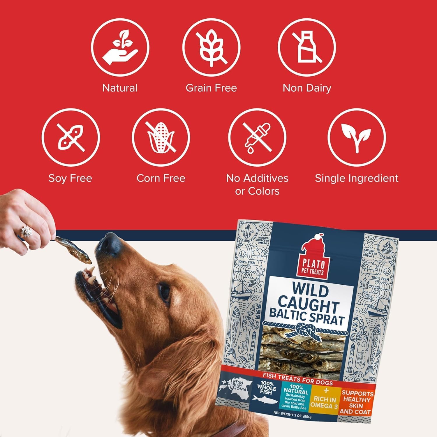 PLATO Single Ingredient Wild-Caught Baltic Sprat Dog Treats, Air-Dried Whole Fish, Omega-Rich Skin & Coat Support, 3 oz