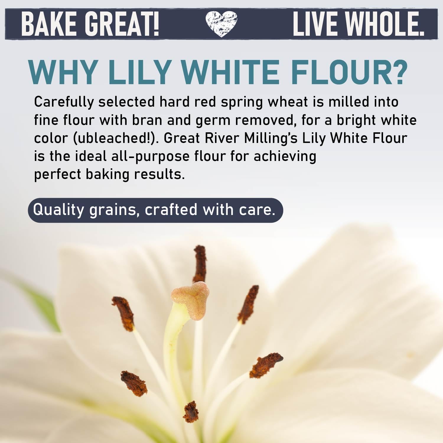 Great River Milling Organic Lily White All Purpose Flour, 25 lb | Organic Lily White All-Purpose Flour for cookies, cakes, muffins, biscuits, breads, pizza dough and pie crust; balanced