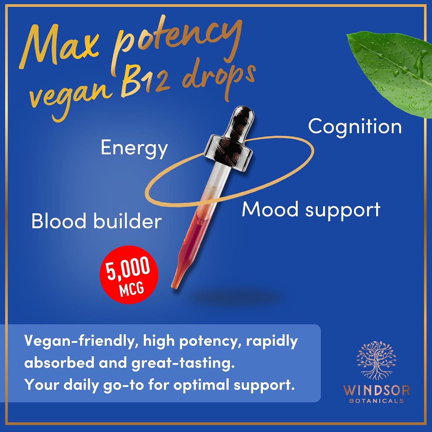 Vegan Vitamin B12 Liquid - Max Strength Methylcobalamin B12 Sublingual 5000 mcg - Fast Absorbing Supplement for Mood
