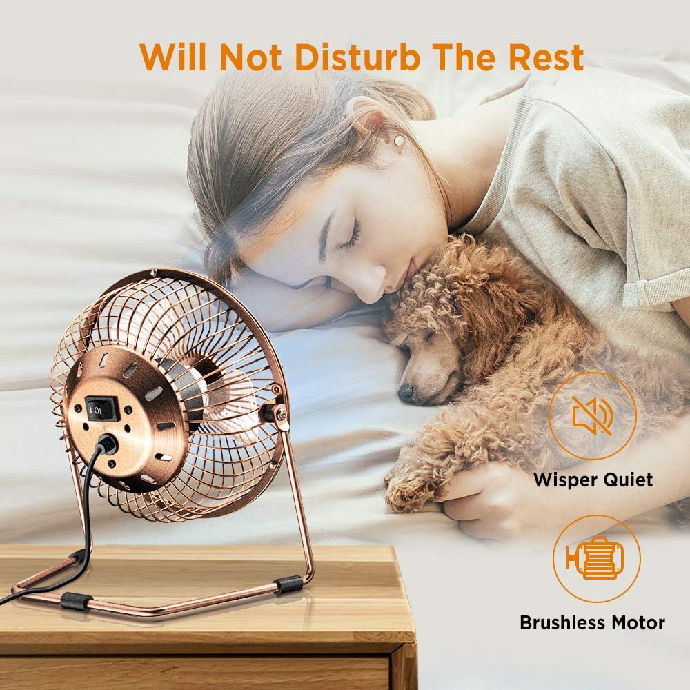 EasyAcc 9 Inch USB Desk Fan Ultra-quiet USB Powered 360° Rotation Desktop Fan with Metal Frame, Portable Personal Cooling Fan with 2 Speed for Home Office (USB POWERED ONLY)