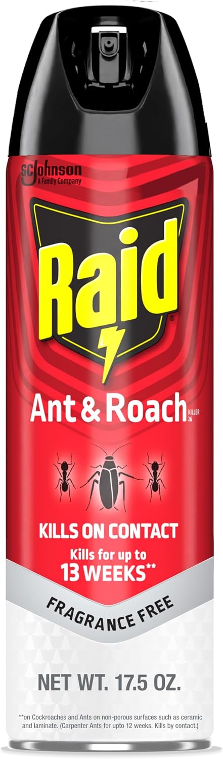 Raid Ant & Roach Killer, Fragrance Free Bug Killer for Home Use, Kills Bugs on Contact, 17.5oz