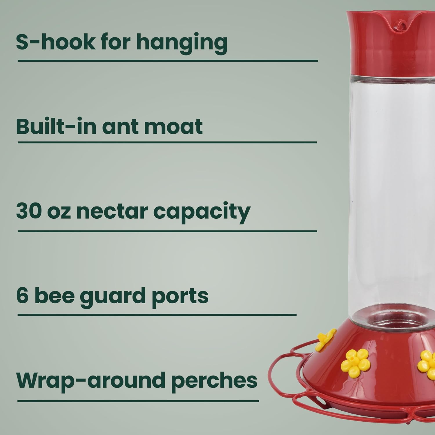 Perky-Pet 209B-1SR Glass Hummingbird Feeders for Outdoors Hanging - 30 fl oz Nectar Capacity - Ant & Bee Guarded Red Bird Feeder