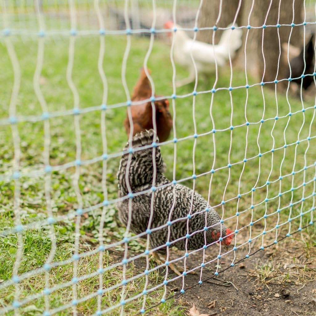 Starkline 48" x 164' Premium Electric Poultry Netting Solar Kit | White/Blue All-in-One Solar Electric Fence Kit for Backyards, Homesteads, Farms
