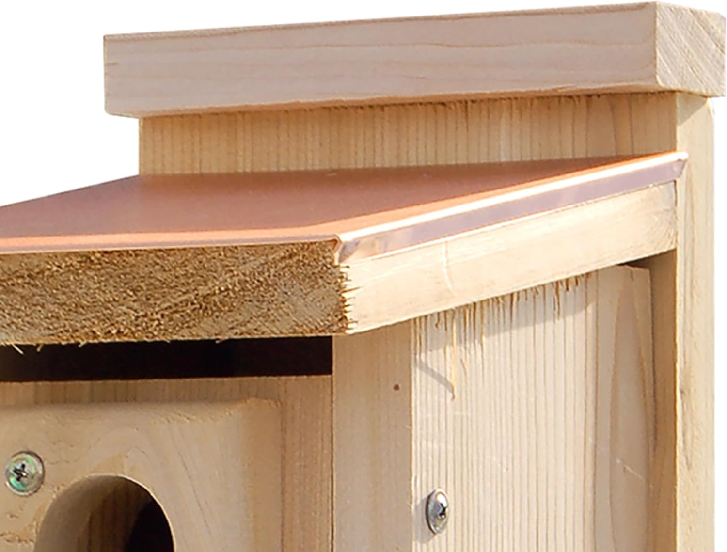 Audubon Coppertop Cedar Wood Bluebird House Model NACOPBB